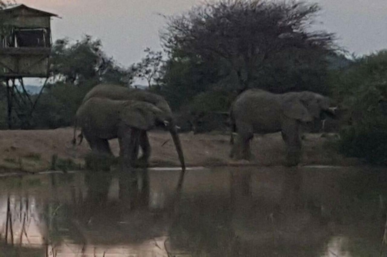 Вилла Kubu Khaya Mabalingwe Mabula Game Reserve Экстерьер фото